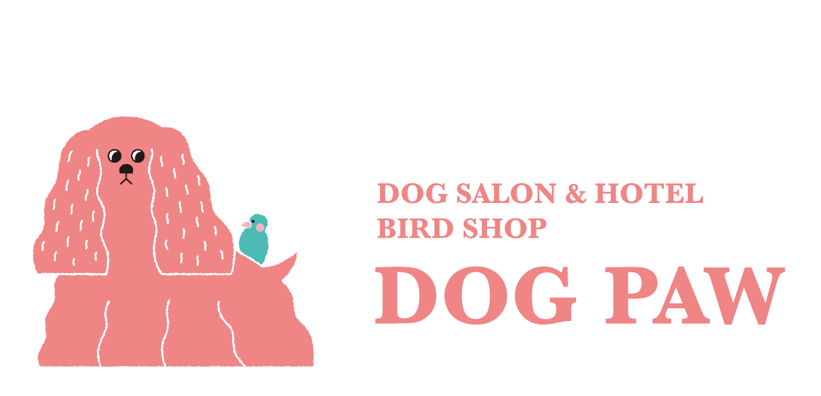 DOG SALON & HOTEL BIRD SHOP [ DOG PAW ] ドッグパウ